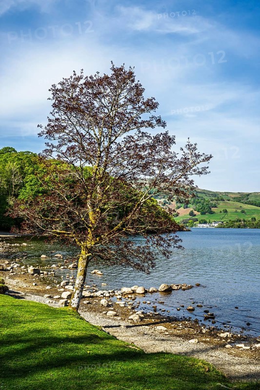 Lake Windermere, Wray Castle, Ambleside, Lake District, Cumbria, England, United Kingdom