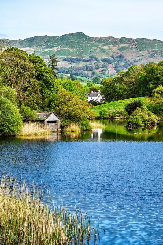 Rydal Water, Rydal, Ambleside, Lake District, Westmorland, Cumbria, England, United Kingdom