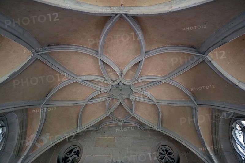 Loop star vault in the well house, Bebenhausen Monastery, built around 1500, Bebenhausen district of Tübingen, Baden-Württemberg, Germany