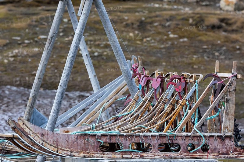 Dog sled on a platform, Aventdalen, Longyearbyen, Spitsbergen, Svalbard