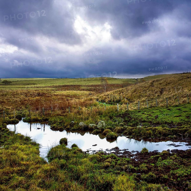 A tranquil stream meanders through the lush countryside of the Cezallier massif in Puy de Dome. Dark clouds loom overhead, enhancing the natural beauty of the landscape. Auvergne Rhone Alpes. France