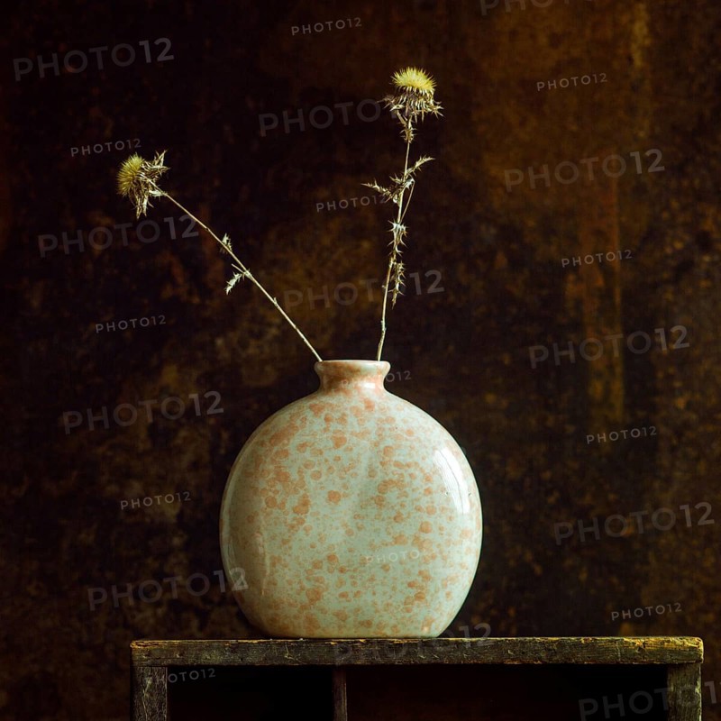 Dried thistles stand elegantly in a ceramic jar, showcasing natural beauty against a warm, textured background on a wooden shelf. An inviting and calming decor element