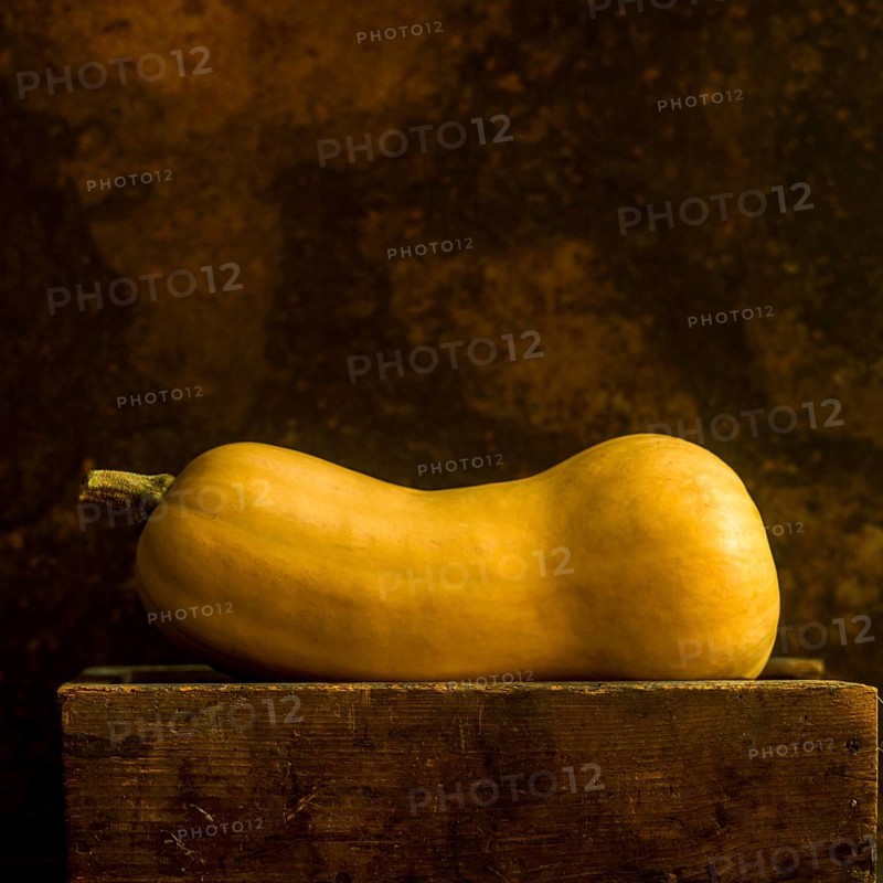 A butternut squash stands upright, showcasing its sleek curves and warm hues. The background's rich texture enhances the vegetable's natural beauty, creating an inviting atmosphere