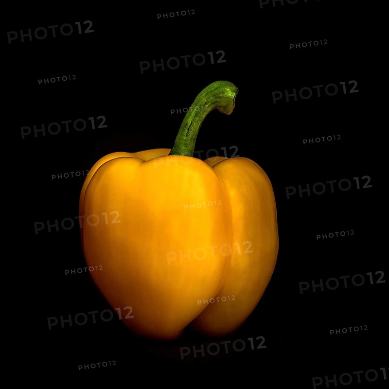 A yellow bell pepper is prominently placed against a black background, highlighting its smooth skin and curved stem