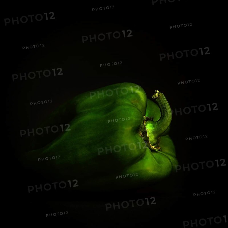 A vivid green bell pepper sits quietly on a black background, emphasizing its rich color and smooth texture. The simple composition highlights the pepper's natural beauty and freshness