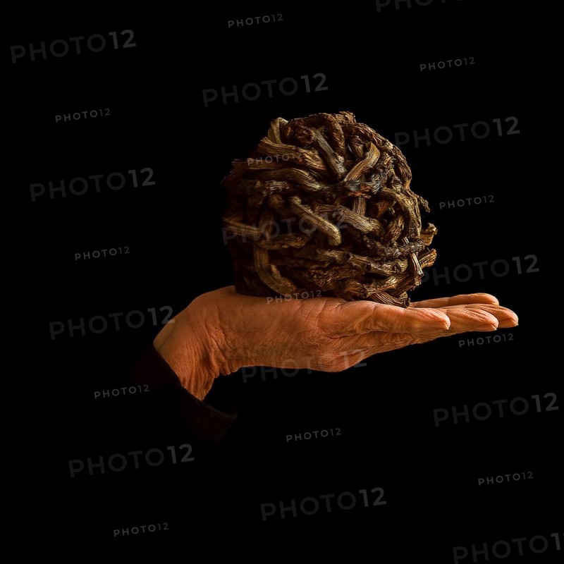 A hand supports a uniquely crafted ball made of intertwined materials, resting against a dark backdrop. The arrangement contrasts textures and highlights creativity in design