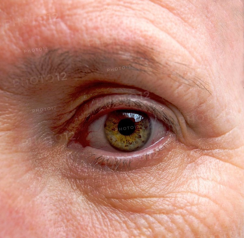 Close-up macro shot revealing the intricate details of an adult woman's eye with vibrant hues and texture against a natural backdrop