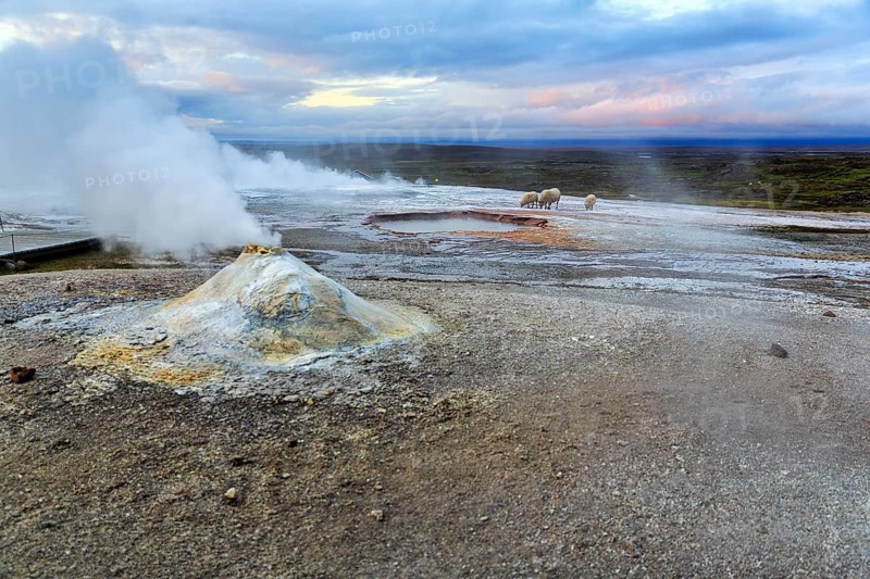 Fumarole, Solfatare Öskjuholt, steaming sinter cone, lime sinter, sulphur vapour, Hveravellir geothermal area, Icelandic highlands, Kjalvegur, Kjölur, Suðurland, Sudurland, Iceland