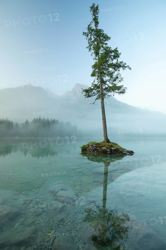 Magical sunrise with fog at Hintersee near Ramsau in Berchtesgadener Land