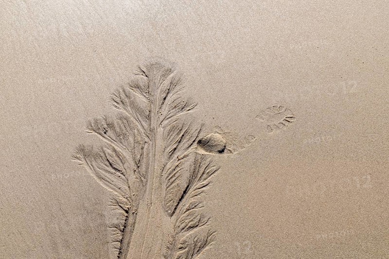 Water marks in the beach, elbow, North Sea, List, Schleswig-Holstein