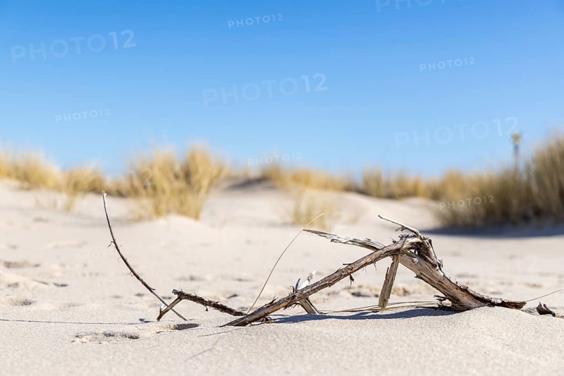 Flotsam and jetsam, broken branch, North Sea, elbow, List, Schleswig-Holstein