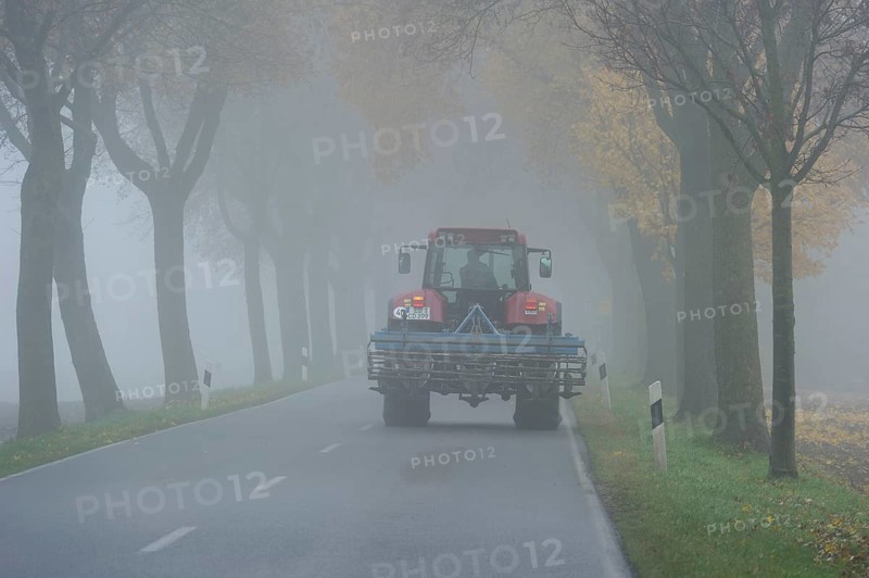 Tractor driving with poor lighting in an avenue of maple trees, dense morning fog, poor visibility, Niederding, Upper Bavaria, Bavaria, Germany