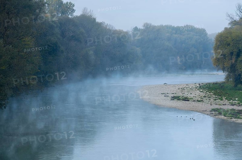 River Isar in the morning mist shortly in front of sunrise, ducks swimming in the water in front of a gravel bank, twilight, blue hour, nature reserve Isarauen near Marzling, Freising, Upper Bavaria, Bavaria, Germany
