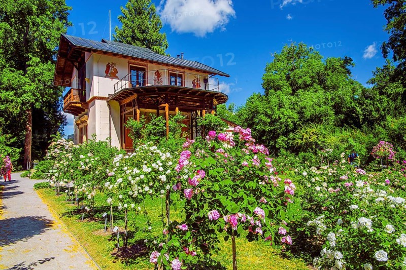 Rose garden in front of the Pompeian-Bavarian casino on the Rose Island in Lake Starnberg, Feldafing, Upper Bavaria, Bavaria, Germany