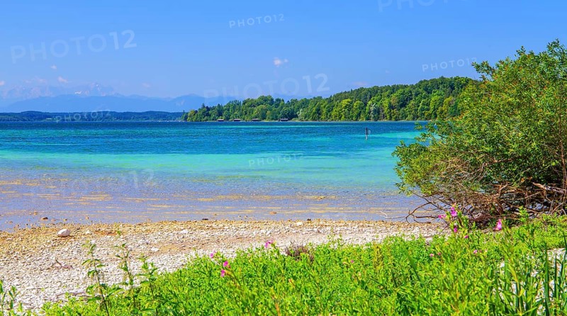Lakeshore on the Roseninsel in Lake Starnberg, Feldafing, Upper Bavaria, Bavaria, Germany