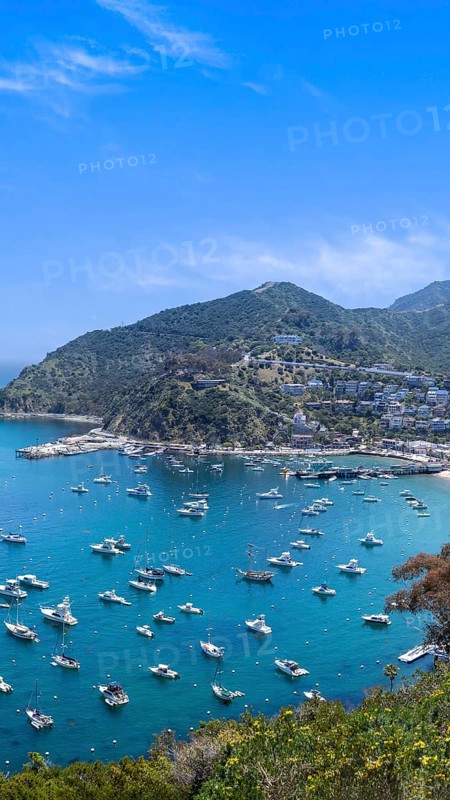 USA, California, panoramic view of Catalina Island Bay and Avalon. Chimes Lookout. Travel attraction