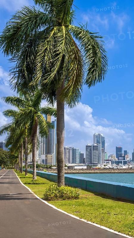 Panoramic view of skyline of Panama City downtown and financial center
