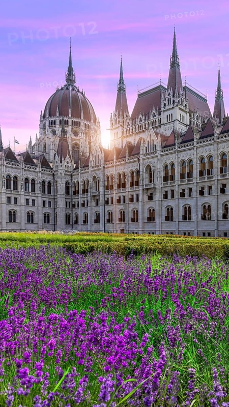 Hungary, panoramic view of the Parliament and Budapest city skyline of historic center