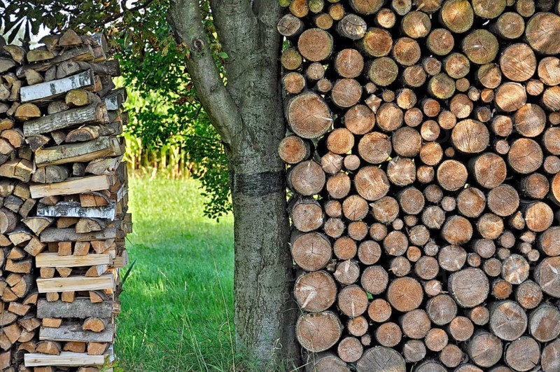 Free-standing stack of firewood, logs, secured by cross-layered ends, or held by tree trunk, Anzing, Upper Bavaria, Bavaria, Germany