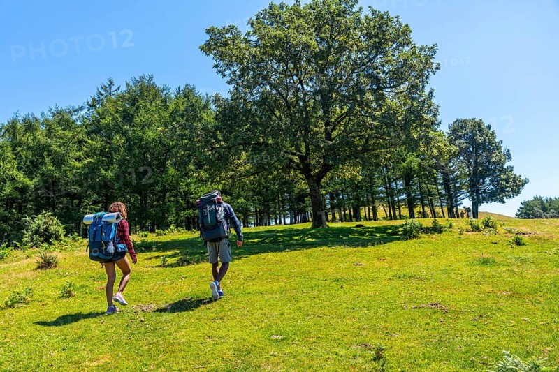 Hikers ascending a hill in a lush green meadow on a sunny summer day, soaking in the breathtaking beauty of the landscape