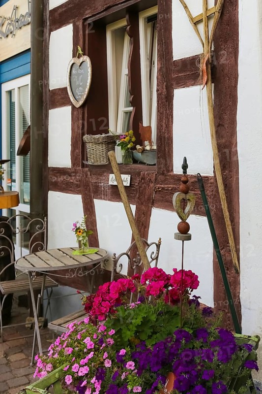 Kässtadel, KäStadel, on the lake, specialist cheese shop with bistro, cheese shop, delicatessen, café, regional cuisine, small restaurant, garden, idyll, still life, geraniums (pelargoniums), half-timbered house, time out, stop off, Oberuhldingen district, Uhldingen-Mühlhofen municipality, Lake Constance district, Baden-Württemberg, Germany