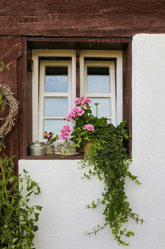 Kässtadel, KäStadel, on the lake, specialist cheese shop with bistro, cheese shop, delicatessen, café, regional cuisine, small restaurant, garden, idyll, still life, window with flowers, geraniums (pelargoniums), time out, stop off, Oberuhldingen district, Uhldingen-Mühlhofen municipality, Lake Constance district, Baden-Württemberg, Germany
