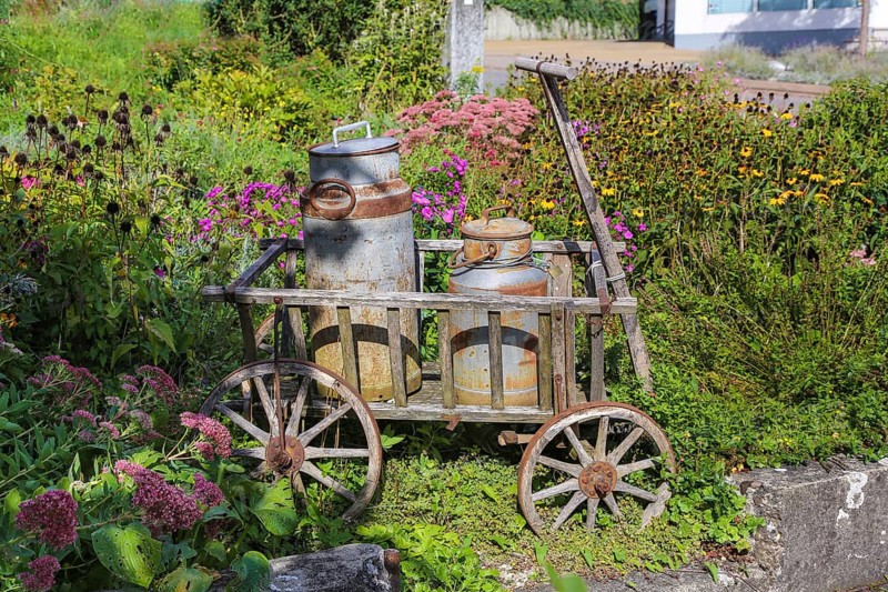 Kässtadel, KäStadel, on the lake, specialist cheese shop with bistro, cheese shop, delicatessen, café, regional cuisine, small restaurant, garden, idyll, still life with milk churns, trolley, flowers, plants, time out, stop off, Oberuhldingen district, Uhldingen-Mühlhofen municipality, Lake Constance district, Baden-Württemberg, Germany