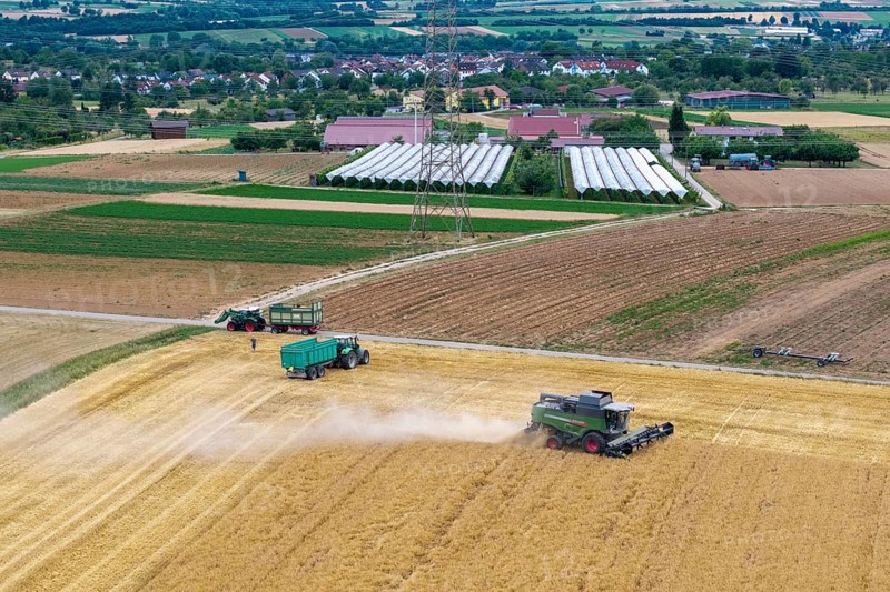 A combine harvester and tractor operate in a field in a rural area near a village