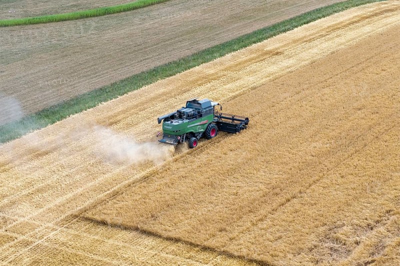 A combine harvester drives through a cornfield and harvests the grain while dust is stirring up, Korb im Rems Valley, Baden-Württemberg, Germany