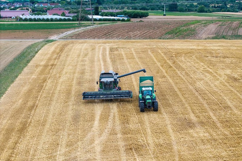 Combine harvester and tractor in an agricultural area, Korb im Remstal, Baden-Württemberg, Germany