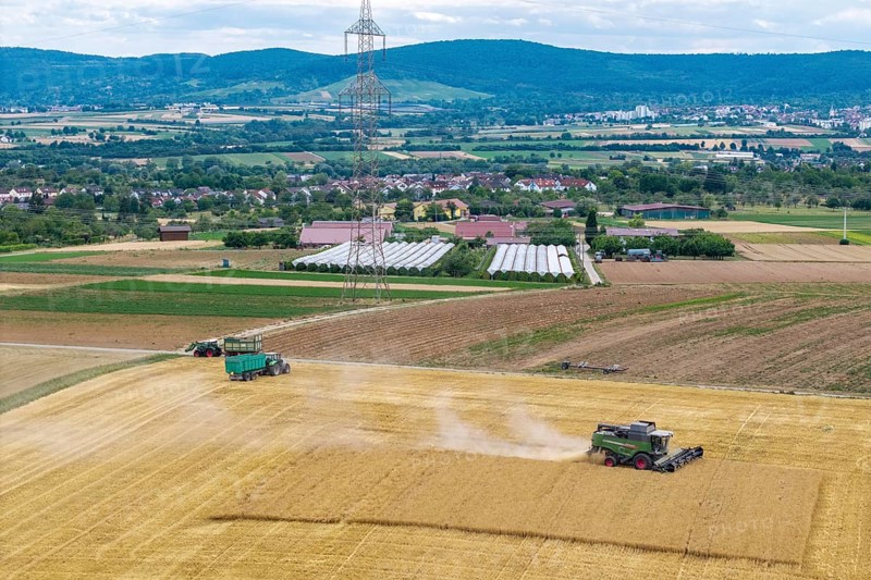 Wide fields with combine harvesters and tractors against a backdrop of mountains and a power pole, Korb im Rems Valley, Baden-Württemberg, Germany