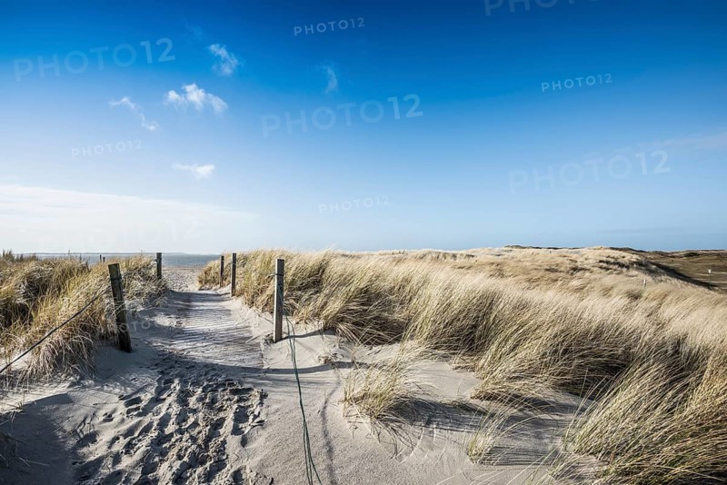 Trail in the dunes and blue sky in winter, Spiekeroog, East Frisian Islands, Lower Saxony, Germany