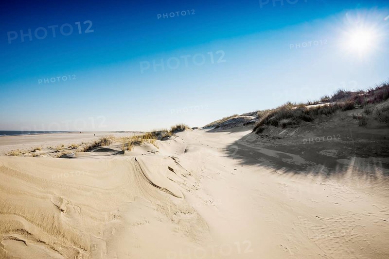 Dunes and blue sky in winter, Spiekeroog, East Frisian Islands, Lower Saxony, Germany