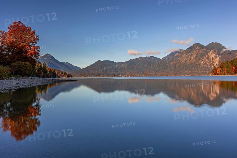 Mountain lake, mountains, morning light, reflection, autumn, autumn color, forest, shore, Walchensee, Upper Bavaria, Bavaria, Germany