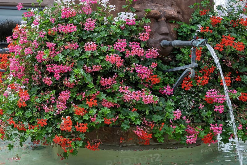 Gargoyles at Georgenbrunnen in Haguenau, Hagenau, Bas-Rhin department in the Alsace region, France