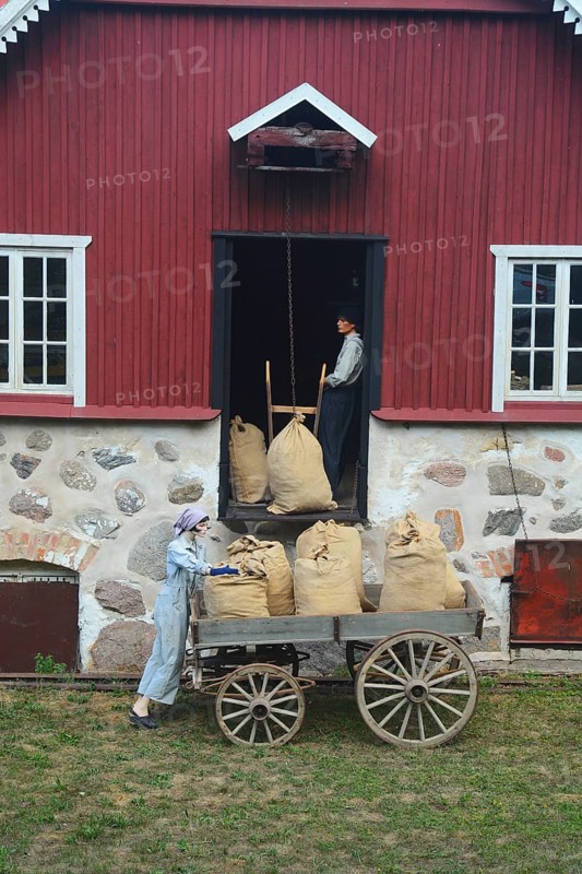 Older wagon with sacks of grain being delivered to the mill in Svenstorp, Ystad Municipality, Skåne County, Sweden, Scandinavia