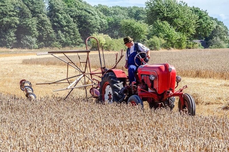 Older Allgaier-Porsche tractor with self-binder harvesting wheat at old-fashioned harvest festival in Svenstorp, Ystad municipality, Skåne county, Sweden, Scandinavia