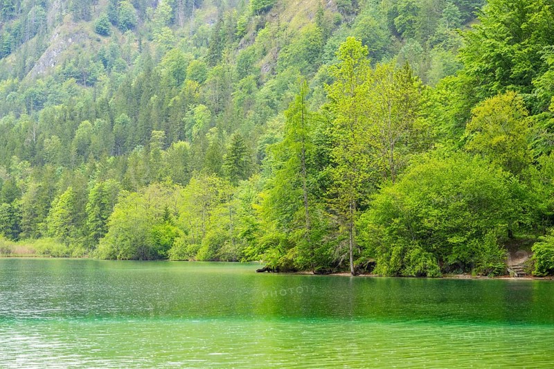 Landscape of Lake Offensee on a rainy day in spring, Salzkammergut, Austria