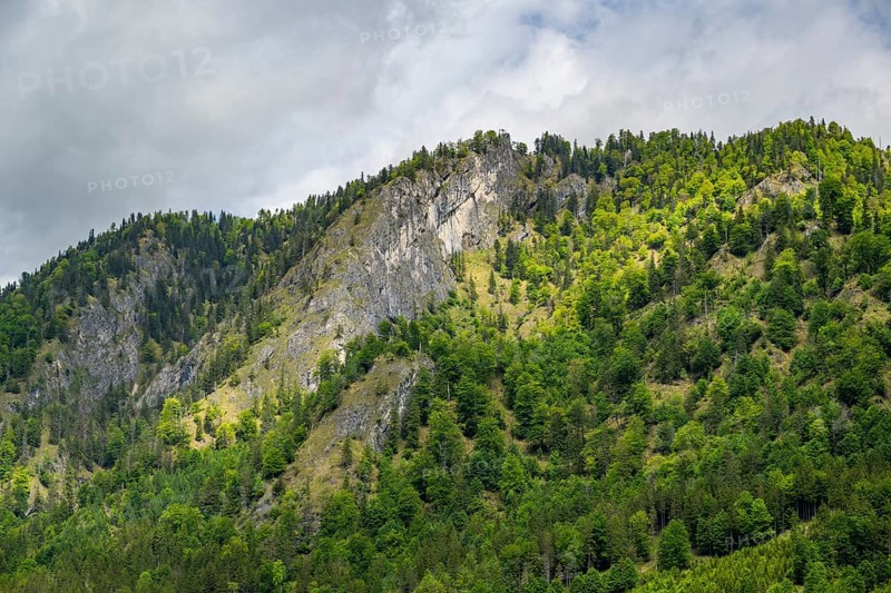 View into the mountains next to Lake Offensee on a rainy day in spring, Salzkammergut, Austria, Europe, Salzkammergut, Austria, Europe