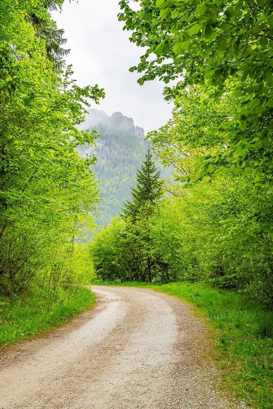 Walking trail going through the forest in spring on a cloudy day, Bavaria, Germany