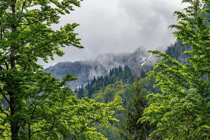 View into the mountains next to Lake Offensee on a rainy day in spring, Salzkammergut, Austria, Europe, Salzkammergut, Austria, Europe