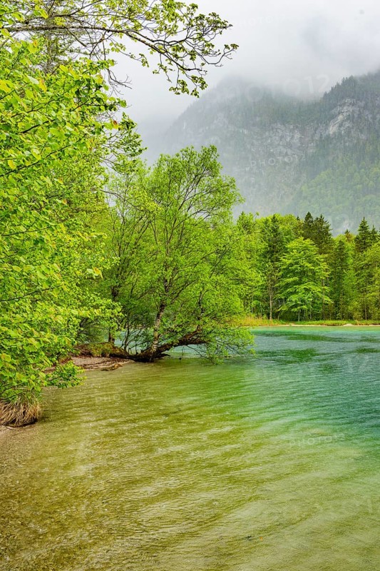 Landscape of Lake Offensee on a rainy day in spring, Salzkammergut, Austria
