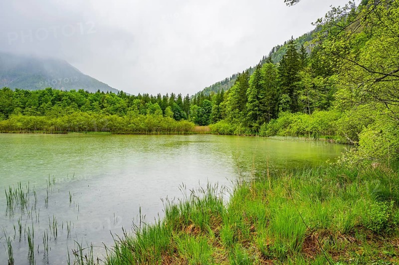 Landscape of Lake Offensee on a rainy day in spring, Salzkammergut, Austria