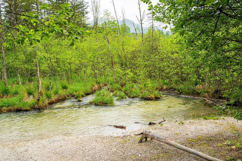 Landscape of Lake Almsee on a rainy day in spring, Salzkammergut, Austria