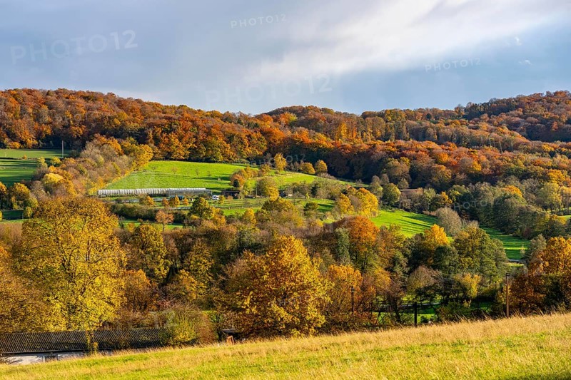 Autumn landscape in Elfringhauser Switzerland, south of Velbert-Langenberg, Germany