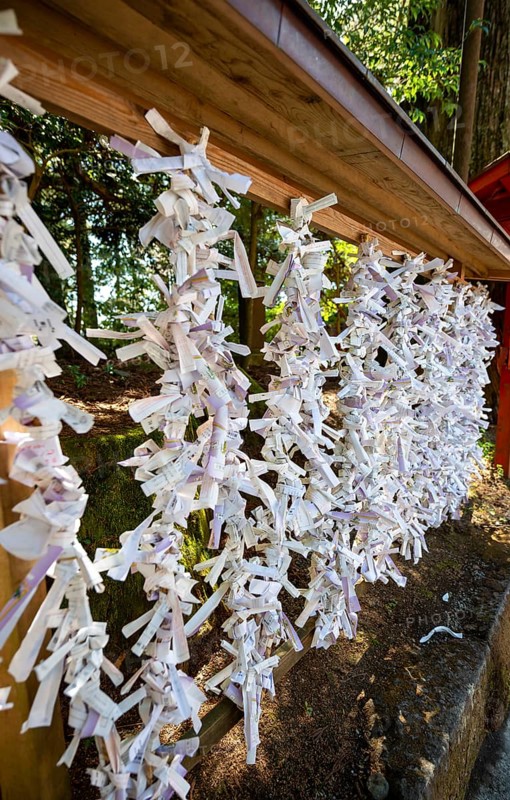 Omikuji papers hung on a wire, Shinto Shrine, Hakone Shrine, Hakone, Japan
