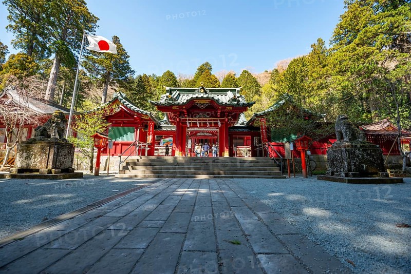 Shinto Shrine, Hakone Shrine, Hakone, Japan