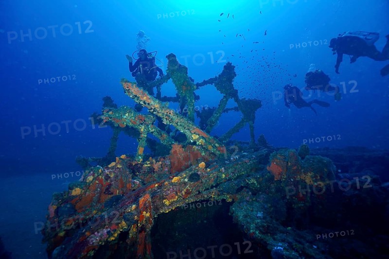 Divers explore a paddle wheel covered with sea sponges in the Mediterranean near Hyères, Wreck Ville de Grasse dive site, Giens Peninsula, Porquerolles, Provence, Côte d'Azur, Mediterranean, France