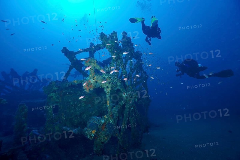 Divers and fish, Mediterranean sea bass (Anthias anthias), circle a wreck overgrown by sea sponges in clear blue water in the Mediterranean near Hyères, dive site Wreck Ville de Grasse, Giens Peninsula, Porquerolles, Provence, Côte d'Azur, Mediterranean, France