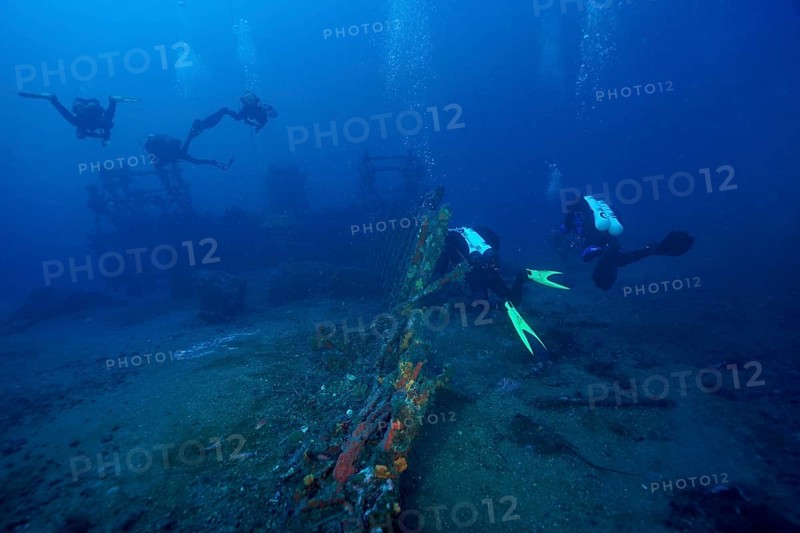 Divers explore a wreck covered with sea sponges on the ocean floor in deep blue water in the Mediterranean near Hyères, Wreck Ville de Grasse dive site, Giens Peninsula, Porquerolles, Provence, Côte d'Azur, Mediterranean, France
